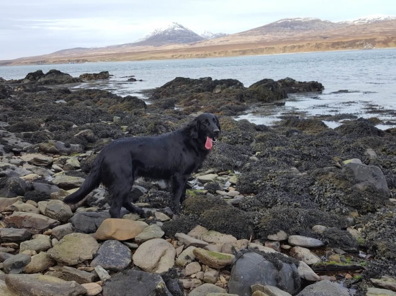 The Sound of Islay