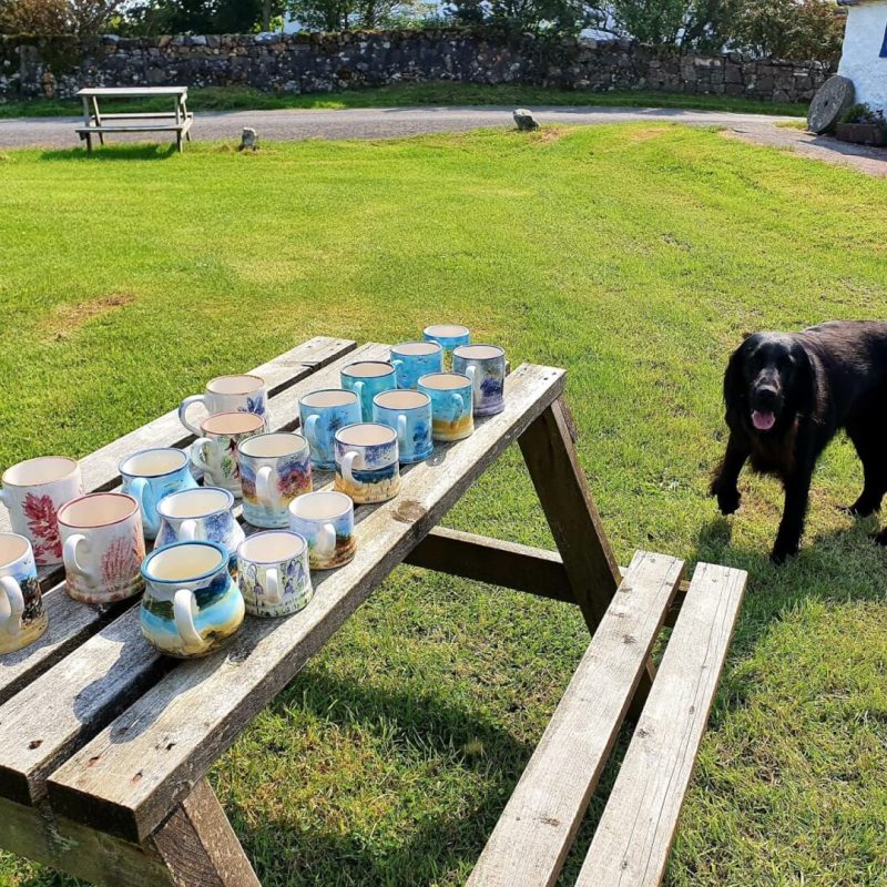 Dog and pottery