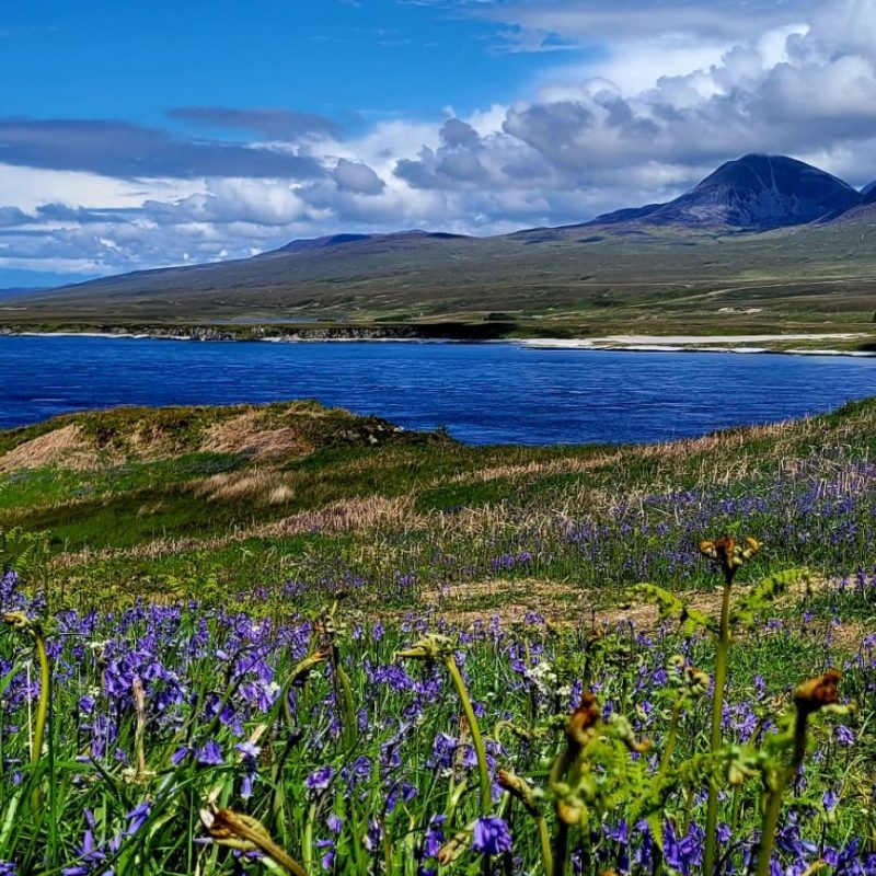 Panorama of hills and sea