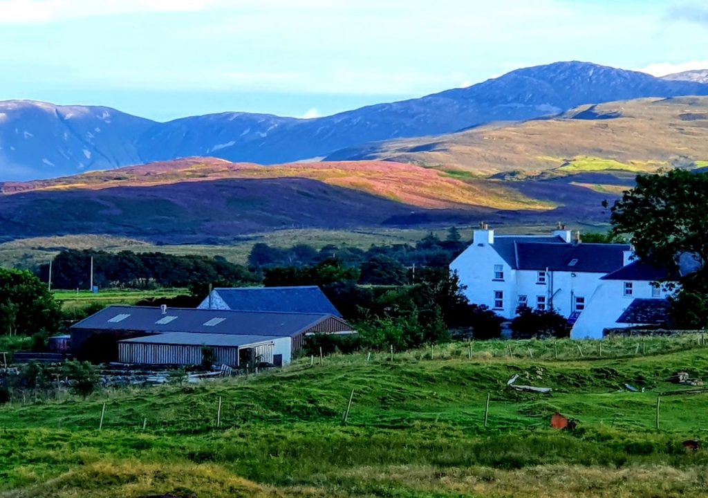 Farmhouse and steadings