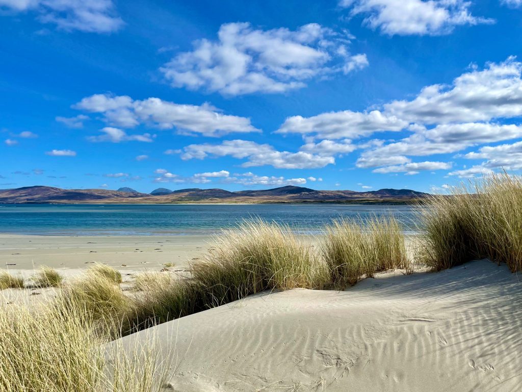 Sand dunes and beach