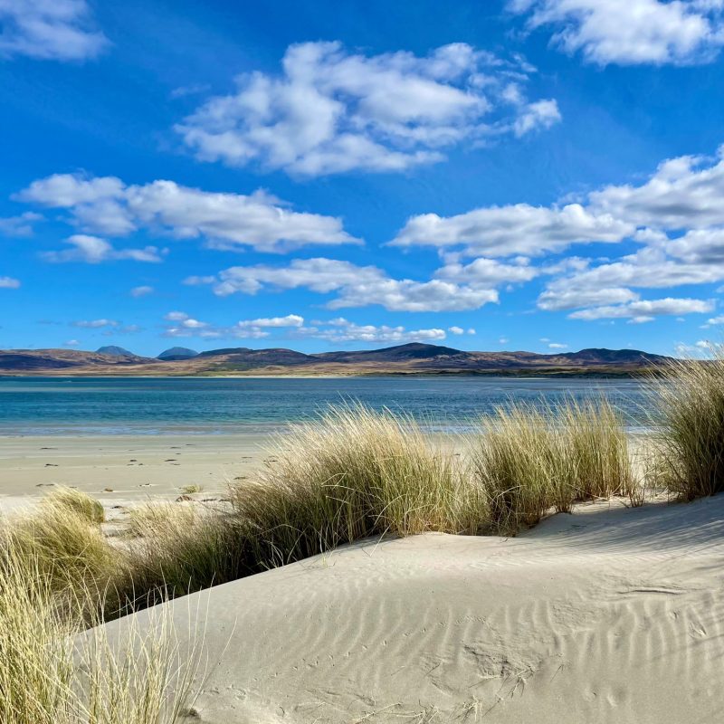 Sand dunes and beach