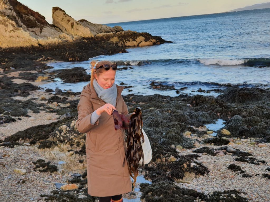 Girl collecting seaweed on a beach