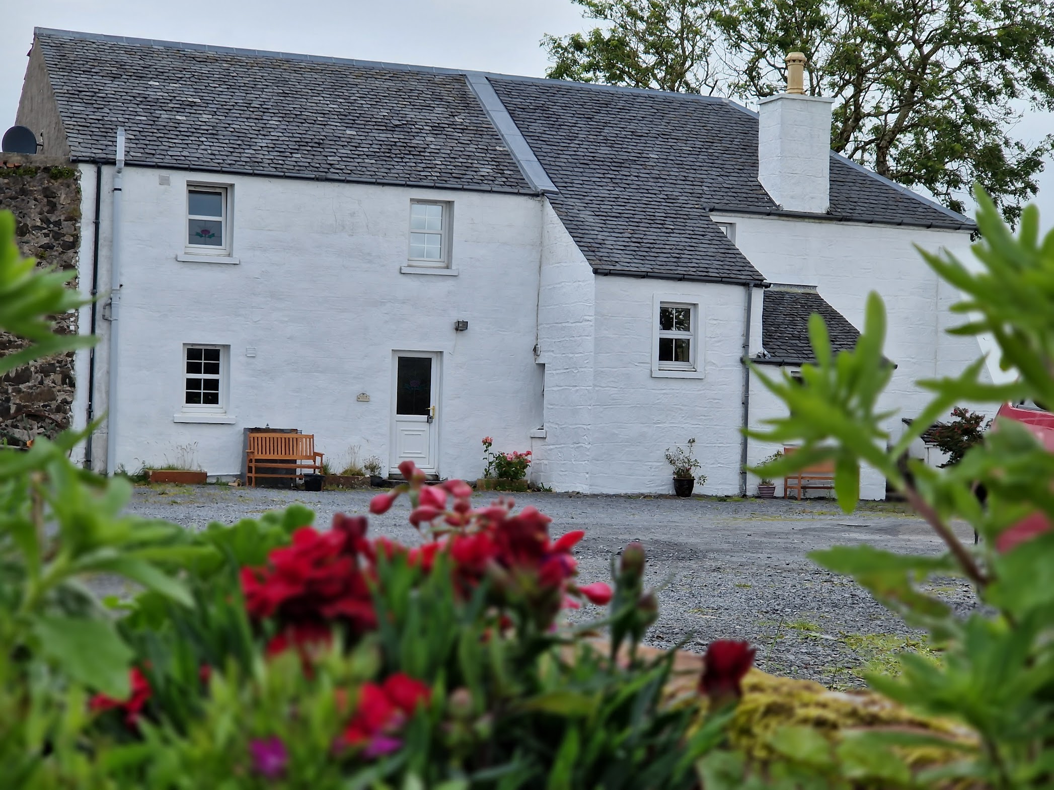 White Cottage, with flowers outside