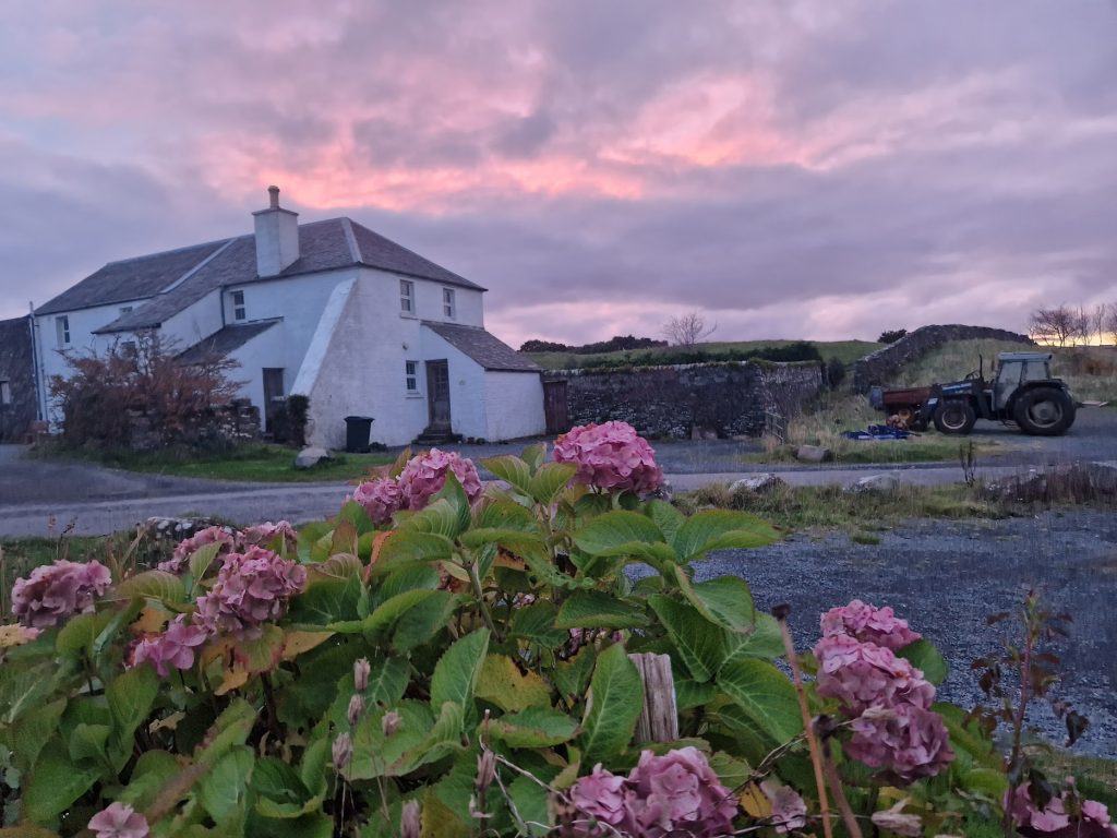 Pink skies behind white cottages