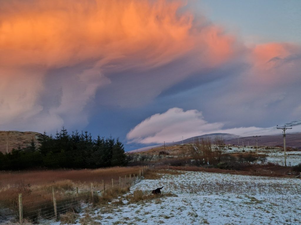 A field with snow on the ground and pink clouds in the sky