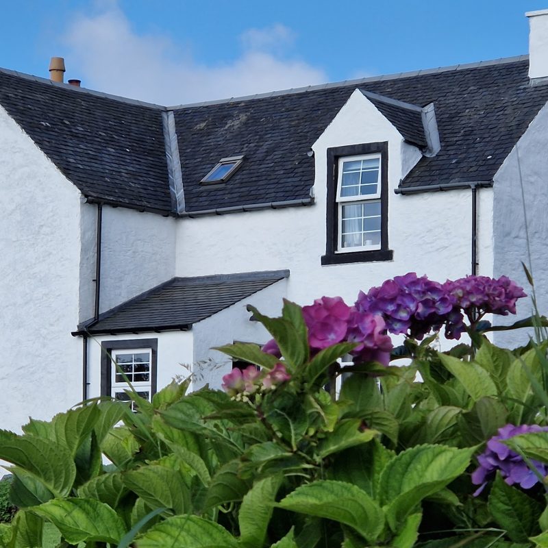 House with flowers